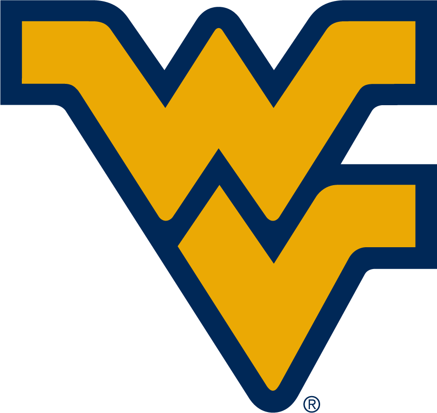 West Virginia Mountaineers 2016-Pres Alternate Logo diy iron on heat transfer